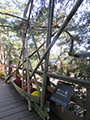 「松籟の宴 2020」竹と菊のインスタレーション展
